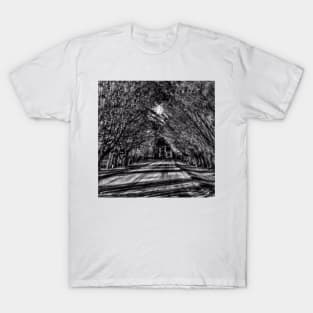 Dark Shines - Black And White T-Shirt